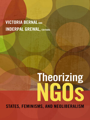 cover image of Theorizing NGOs